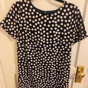 J Crew Polka Dot Shift Dress